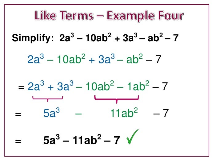 terms in algebra