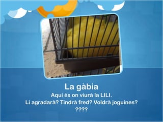 La gàbia
Aquí és on viurà la LILI.
Li agradarà? Tindrà fred? Voldrà joguines?
????

 