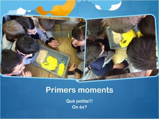 Primers moments
Què petita!!!
On és?

 