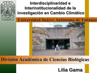 Universidad Juárez Autónoma de Tabasco División Académica de Ciencias Biológicas Interdisciplinaridad e  Interinstitucionalidad de la  investigación en Cambio Climático Lilia Gama   