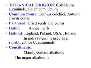 • BOTANICAL ORIGION: Colchicum
autumnale, Colchicum luteum
• Common Name: Cormus colchici, Autumn
crocus corm.
• Part used: Dried seeds and corms
• Habit: Annual herb
• Habitat: England, Poland, USA, Holland
In india luteum is used as a
substituent for C. autumnale
• Constituents:
Mainly contain alkaloids
The major alkaloid is
 