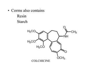 • Corms also contains
Resin
Starch
COLCHICINE
 