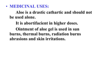 • MEDICINAL USES:
Aloe is a drastic cathartic and should not
be used alone.
It is abortifacient in higher doses.
Ointment of aloe gel is used in sun
burns, thermal burns, radiation burns
abrasions and skin irritations.
 