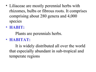 • Liliaceae are mostly perennial herbs with
rhizomes, bulbs or fibrous roots. It comprises
comprising about 280 genera and 4,000
species
• HABIT:
Plants are perennials herbs.
• HABITAT:
It is widely distributed all over the world
that especially abundant in sub-tropical and
temperate regions
 