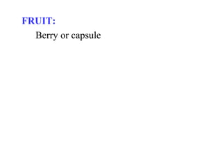 FRUIT:
Berry or capsule
 