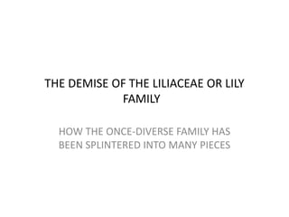 THE DEMISE OF THE LILIACEAE OR LILY
FAMILY
HOW THE ONCE-DIVERSE FAMILY HAS
BEEN SPLINTERED INTO MANY PIECES
 