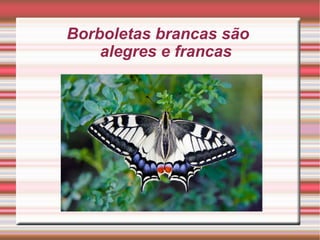 Borboletas brancas são  alegres e francas 