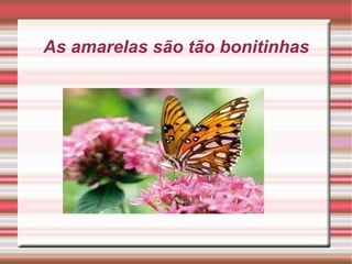 As amarelas são tão bonitinhas 