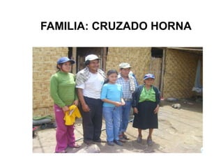FAMILIA: CRUZADO HORNA
