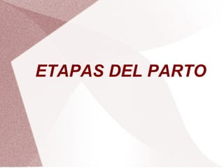 ETAPAS DEL PARTO

 