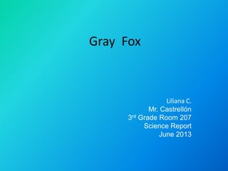 Gray Fox
Liliana C.
Mr. Castrellón
3rd Grade Room 207
Science Report
June 2013
 