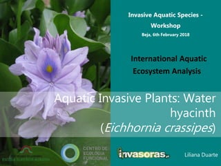 Liliana Duarte
Invasive Aquatic Species -
Workshop
Beja, 6th February 2018
International Aquatic
Ecosystem Analysis
Aquatic Invasive Plants: Water
hyacinth
(Eichhornia crassipes)
 