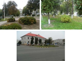 Liliana Mocrei: Siret park