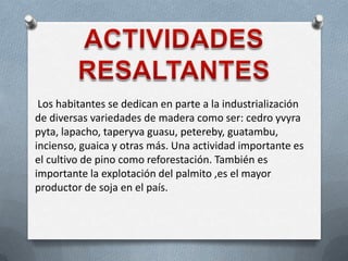 Los habitantes se dedican en parte a la industrialización
de diversas variedades de madera como ser: cedro yvyra
pyta, lapacho, taperyva guasu, petereby, guatambu,
incienso, guaica y otras más. Una actividad importante es
el cultivo de pino como reforestación. También es
importante la explotación del palmito ,es el mayor
productor de soja en el país.
 