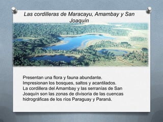 Las cordilleras de Maracayu, Amambay y San
Joaquín
Presentan una flora y fauna abundante.
Impresionan los bosques, saltos y acantilados.
La cordillera del Amambay y las serranías de San
Joaquín son las zonas de divisoria de las cuencas
hidrográficas de los ríos Paraguay y Paraná.
 