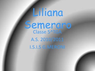 Liliana Semeraro Classe 5^TGA A.S. 2010/2011 I.S.I.SG.MERONI 