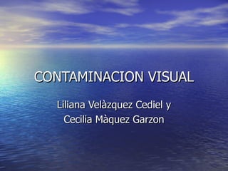 CONTAMINACION VISUAL
  Liliana Velàzquez Cediel y
    Cecilia Màquez Garzon
 