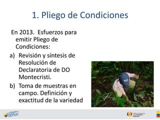 1. Pliego de Condiciones
En 2013. Esfuerzos para
emitir Pliego de
Condiciones:
a) Revisión y síntesis de
Resolución de
Declaratoria de DO
Montecristi.
b) Toma de muestras en
campo. Definición y
exactitud de la variedad

 