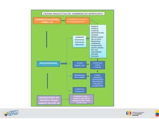 CADENA PRODUCTIVA DEL SOMBRERO DE MONTECRISTI
COMERCIALIZADORES
APROX. 20

ALGUNOS SE INTEGRAN
AL PROCESAMIENTO

ACABADO
intervienen
8 personas
diferentes

TEJIDO
APROX. 450

PLANTILLA
COPA
Y FALDA

PREPARADO
DE LA FIBRA

PROCESADORES

REMATE
AZOQUE
CURA DE
DESPERFECTOS
LAVADO
DESPELUZADO
DE LA COPA
REAZOQUE
HORMADO
PLANCHADO
DESPELUZADO
DEL ALA
ZAHUMADO
SECADO
PALIADO

CORTE
PEINADO
COCIMIENTO
DESVENADO
SAHUME O
BLANQUEDO

CORTE DE
COGOLLOS

PRODUCTORES DE
MATERIA PRIMA,
cogollos de 0,40 ctv

4 PRODUCTORES, 1
TIENE EL 50% DE LA
PRODUCCIÓN, PROD
TOTAL 6 HA.

 