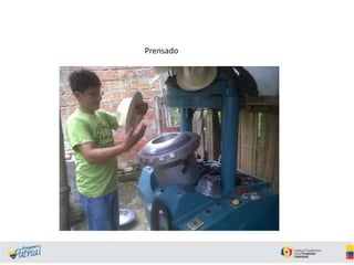 Prensado

 