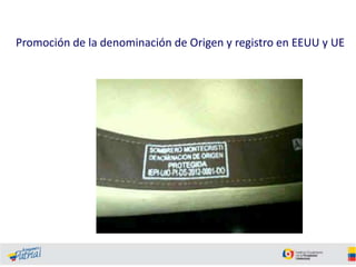 Promoción de la denominación de Origen y registro en EEUU y UE

 