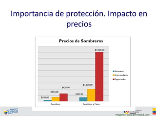 Importancia de protección. Impacto en
precios

Imagenes: www.brentblack.com

 