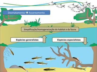 Desmatamento  Assoreamento




            Simplificação/homogeneização do habitat e da fauna



     Espécies generalistas                  Espécies especialistas
 