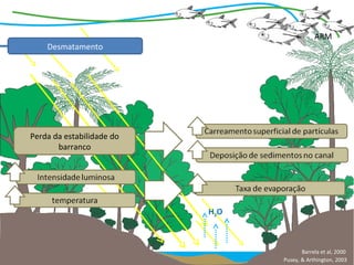 ARM
    Desmatamento




Perda da estabilidade do
       barranco




                           H2O



                                        Barrela et al, 2000
                                 Pusey, & Arthington, 2003
 