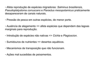 - Afeta reprodução de espécies migradoras: Salminus brasiliensis,
Pseudoplatystoma corruscans e Piaractus mesopotamicus praticamente
desapareceram de canais naturais.

- Pressão de pesca em outras espécies, de menor porte.

- Ausência de alagamento => afeta espécies que dependem das lagoas
marginais para reprodução.

- Introdução de espécies não nativas => Cichla e Plagioscion.

- Sumidouros de nutrientes => desertos aquáticos.

- Mecanismos de transposição que não funcionam.

- Ações mal sucedidas de peixamentos.
 