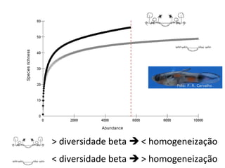 Foto: F. R. Carvalho




> diversidade beta  < homogeneização
< diversidade beta  > homogeneização
 