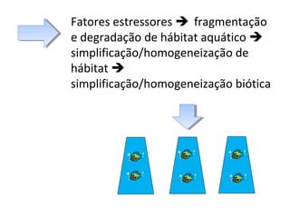 Fatores estressores  fragmentação
e degradação de hábitat aquático 
simplificação/homogeneização de
hábitat 
simplificação/homogeneização biótica
 