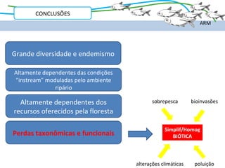 CONCLUSÕES
                                                                 ARM




Grande diversidade e endemismo

Altamente dependentes das condições
“instream” moduladas pelo ambiente
              ripário

  Altamente dependentes dos                  sobrepesca       bioinvasões
recursos oferecidos pela floresta

                                                  Simplif/Homog
Perdas taxonômicas e funcionais                      BIÓTICA



                                      alterações climáticas    poluição
 