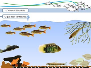 ARM
 O Ambiente aquático



                       ?
O que pode ser recurso
 