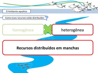 ARM
O Ambiente aquático

Como esses recursos estão distribuídos
                                         ?
       homogênea                             heterogênea



           Recursos distribuídos em manchas
 