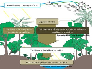 RELAÇÕES COM O AMBIENTE FÍSICO
                                                                                              ARM




                                   Vegetação ripária


transferência de energia para      troca de materiais orgânicos entre os ecossistemas
   o ecossistema aquático                        aquáticos e terrestres
                                                           Barrela et al, 2000; Pusey, & Arthington, 2003




                           Qualidade e diversidade de habitat




                      Ocorrência de peixes e macroinvertebrados
                                       Neumann & Wildman, 2002; Scealy et al., 2007
 