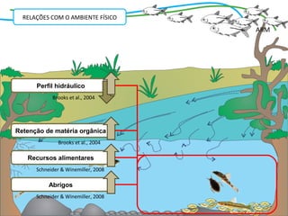 RELAÇÕES COM O AMBIENTE FÍSICO
                                     ARM




      Perfil hidráulico
            Brooks et al., 2004




Retenção de matéria orgânica
               Brooks et al., 2004

   Recursos alimentares
      Schneider & Winemiller, 2008

           Abrigos
      Schneider & Winemiller, 2008
 
