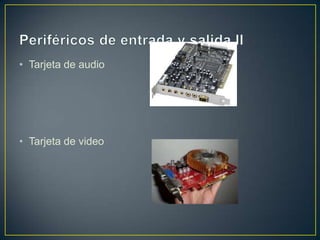 • Tarjeta de audio
• Tarjeta de video