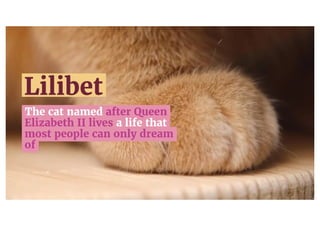 The cat named after Queen Elizabeth II lives in The Lanesborough