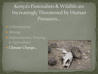 Alternative futures for Kenya’s national parks and wildlife reserves