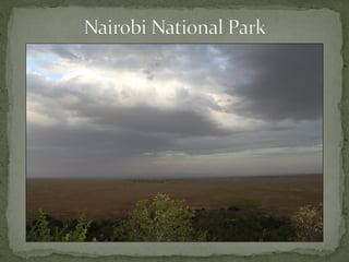Alternative futures for Kenya’s national parks and wildlife reserves