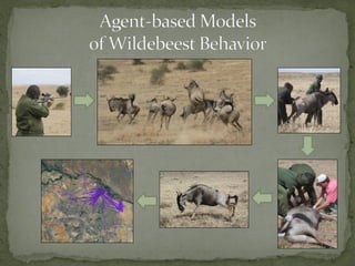 Alternative futures for Kenya’s national parks and wildlife reserves