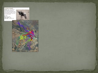 Alternative futures for Kenya’s national parks and wildlife reserves