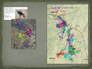 Alternative futures for Kenya’s national parks and wildlife reserves