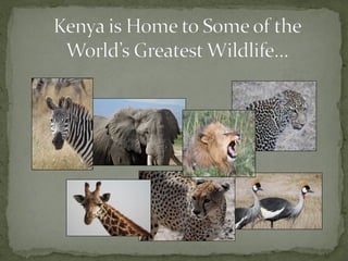 Alternative futures for Kenya’s national parks and wildlife reserves