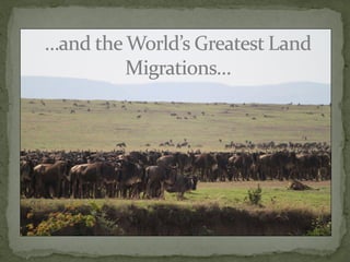 Alternative futures for Kenya’s national parks and wildlife reserves