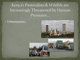 Alternative futures for Kenya’s national parks and wildlife reserves