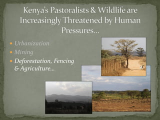 Alternative futures for Kenya’s national parks and wildlife reserves