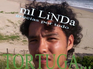 gracias por todo mI LiNDa TORTUGA...