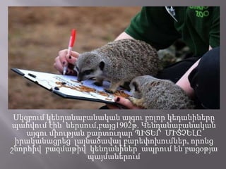 Սկզբում կենդանաբանական այգու բոլոր կեդանիները
պահվում էին ներսում,բայց1902թ. Կենդանաբանական
այգու միության քարտուղար ՊԻՏԵՐ ՄԻՏՉԵԼԸ
իրականացրեց լայնածավալ բարեփոխումներ, որոնց
շնորհիվ բազմաթիվ կենդանիներ ապրում են բացօթյա
պայմաներում

 