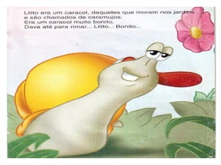Lilito um amor de caracol